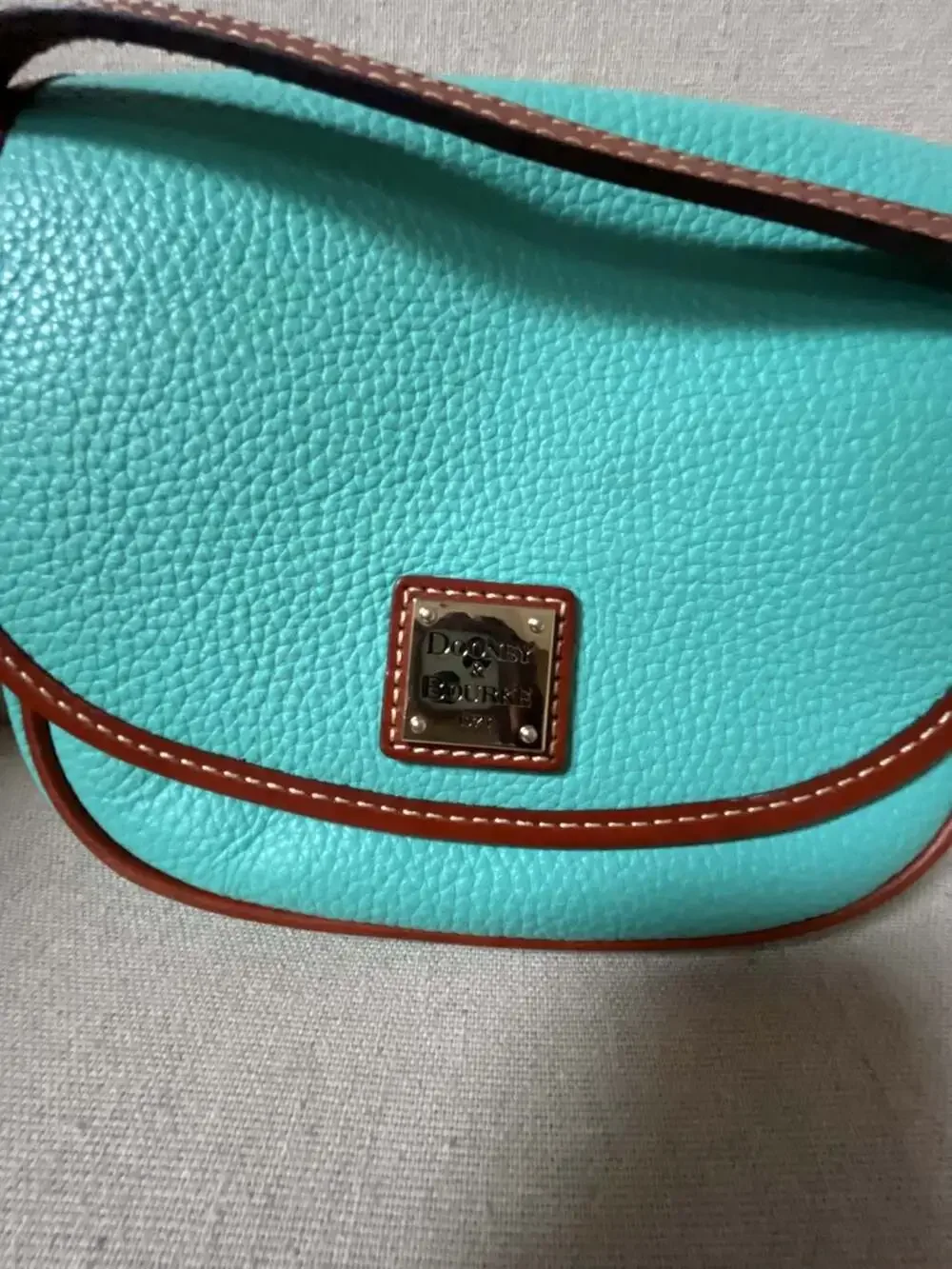 Dooney & Bourke Pebble Grain Leather Saddle Crossbody Bag in Mint Green